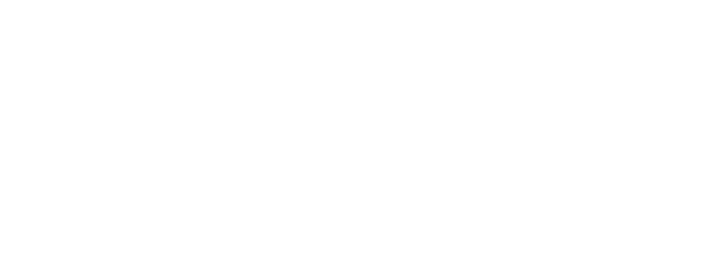 Logo nuevo PDA blanco